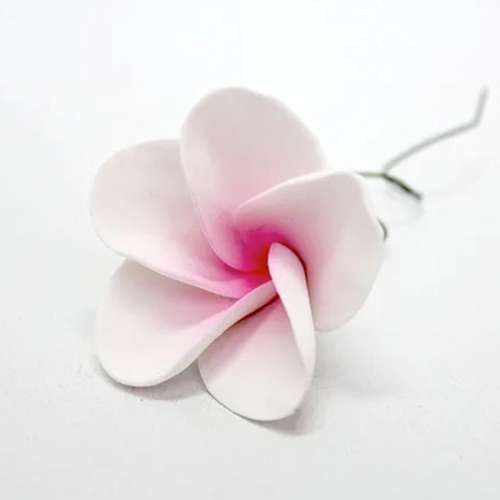 Large Frangipani - Pink - Click Image to Close